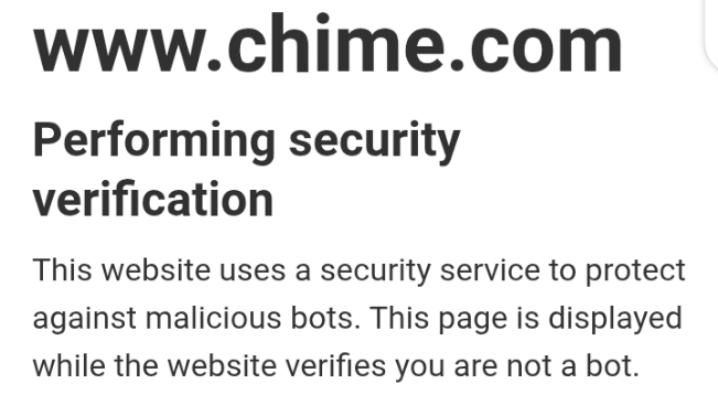 Security verification